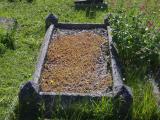 image of grave number 786937